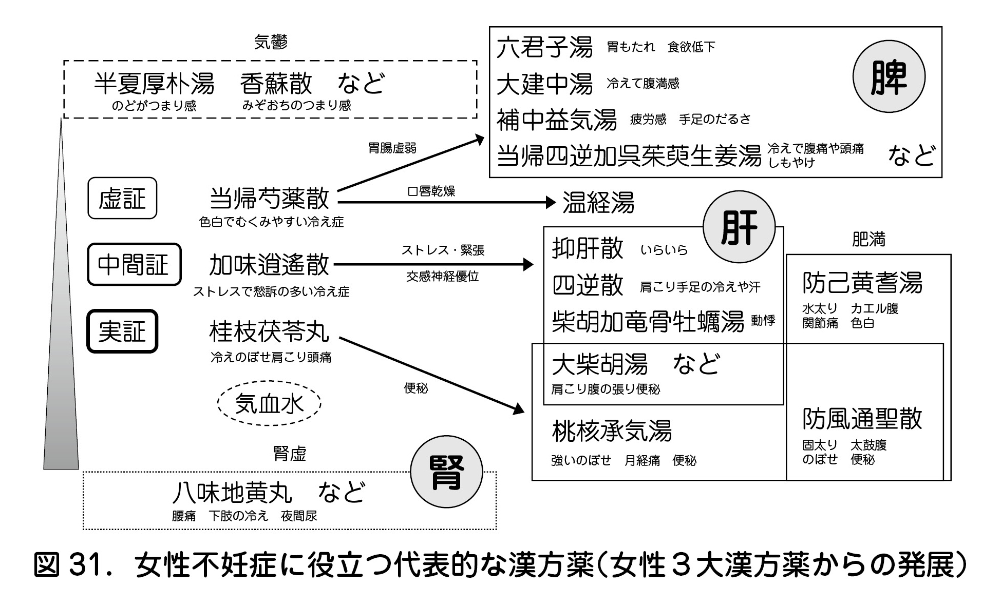 図31．女性不妊症に役立つ代表的な漢方薬（女性３大漢方薬からの発展）