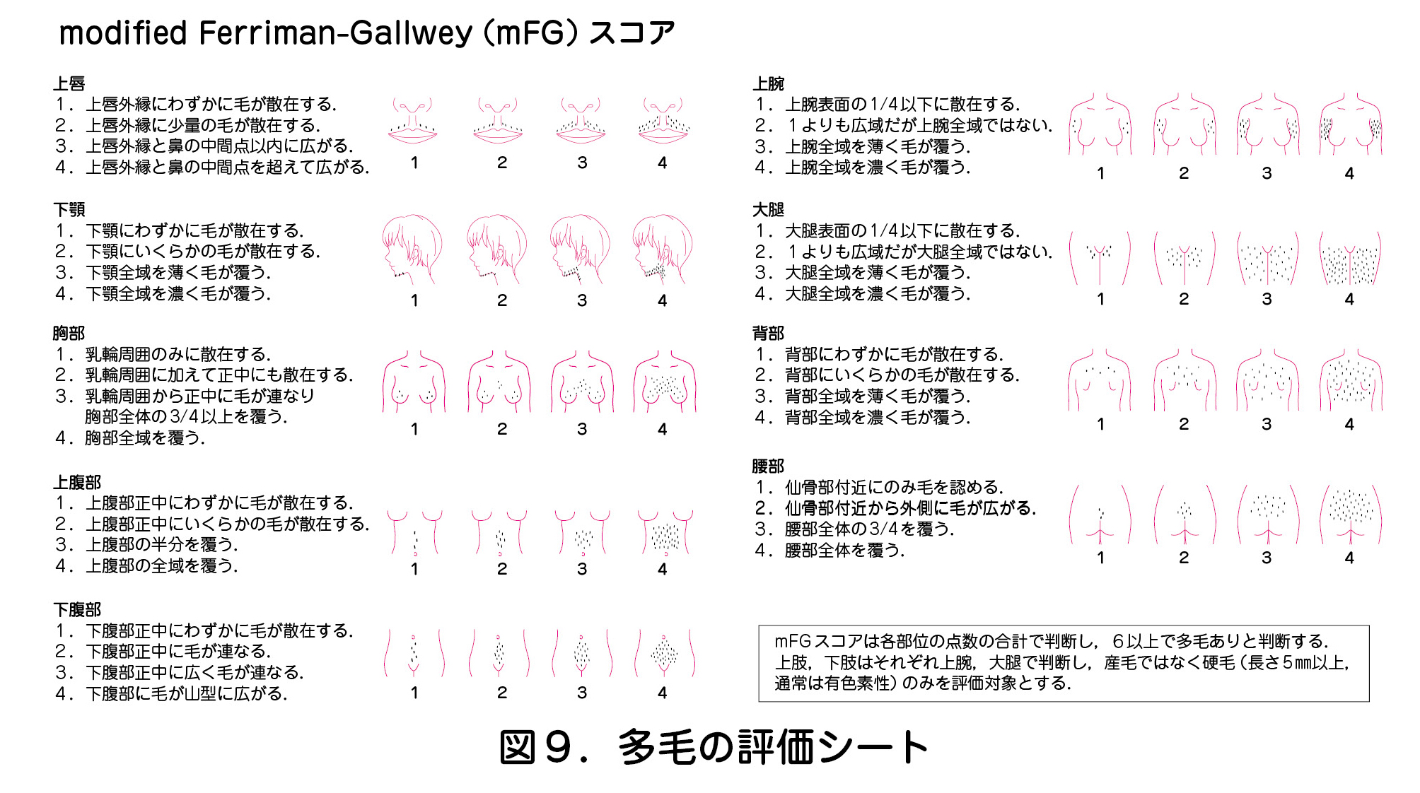 図９．多毛の評価シート