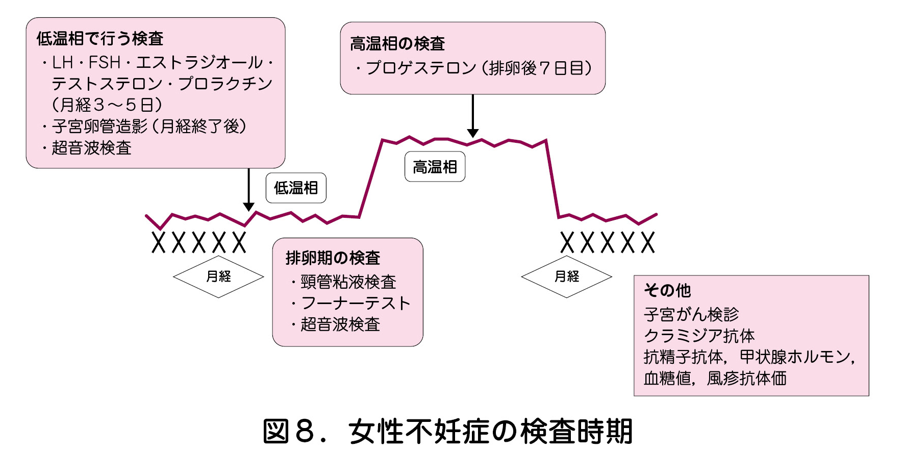 図８．女性不妊症の検査時期