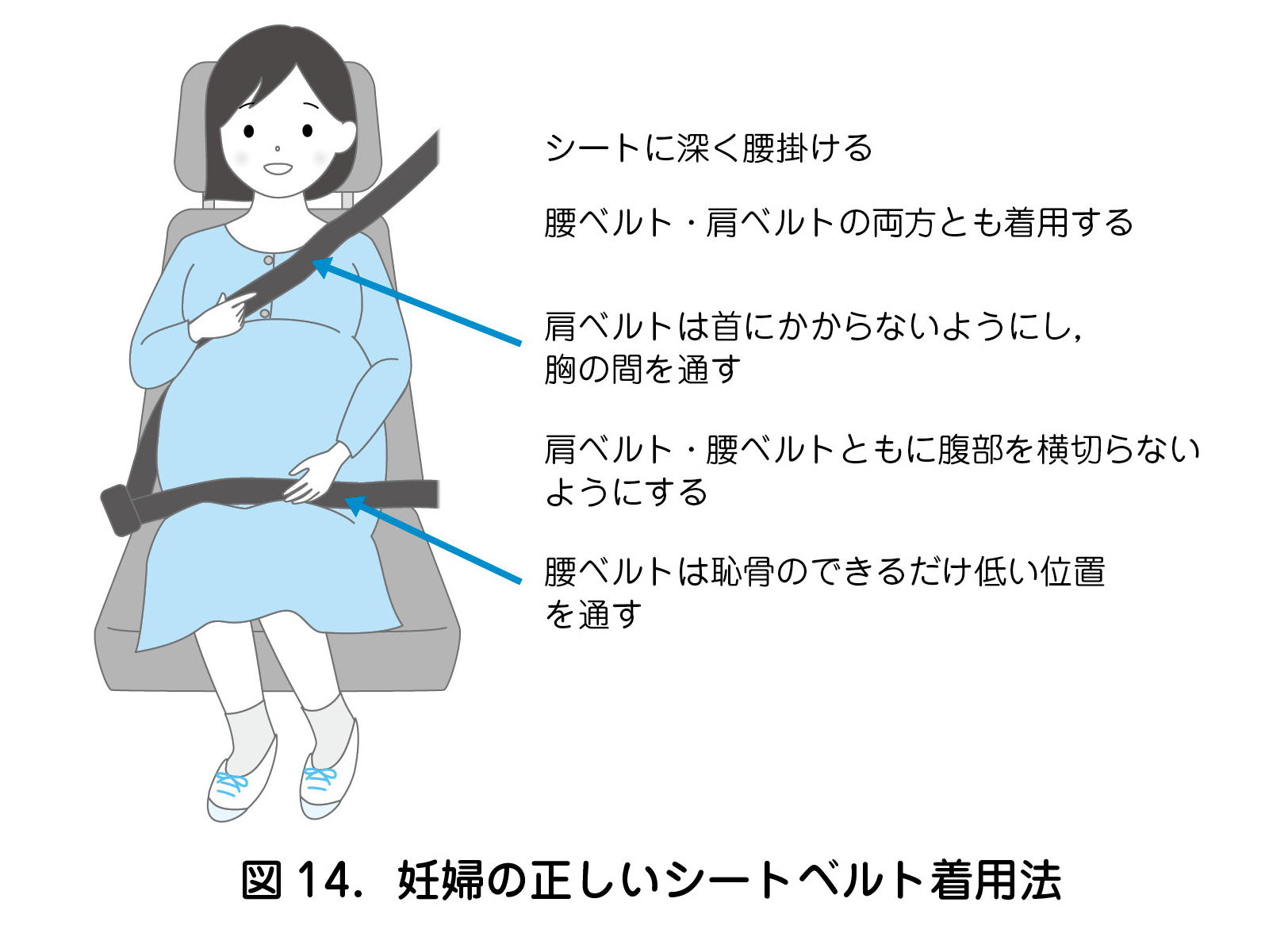 図14．妊婦の正しいシートベルト着用法