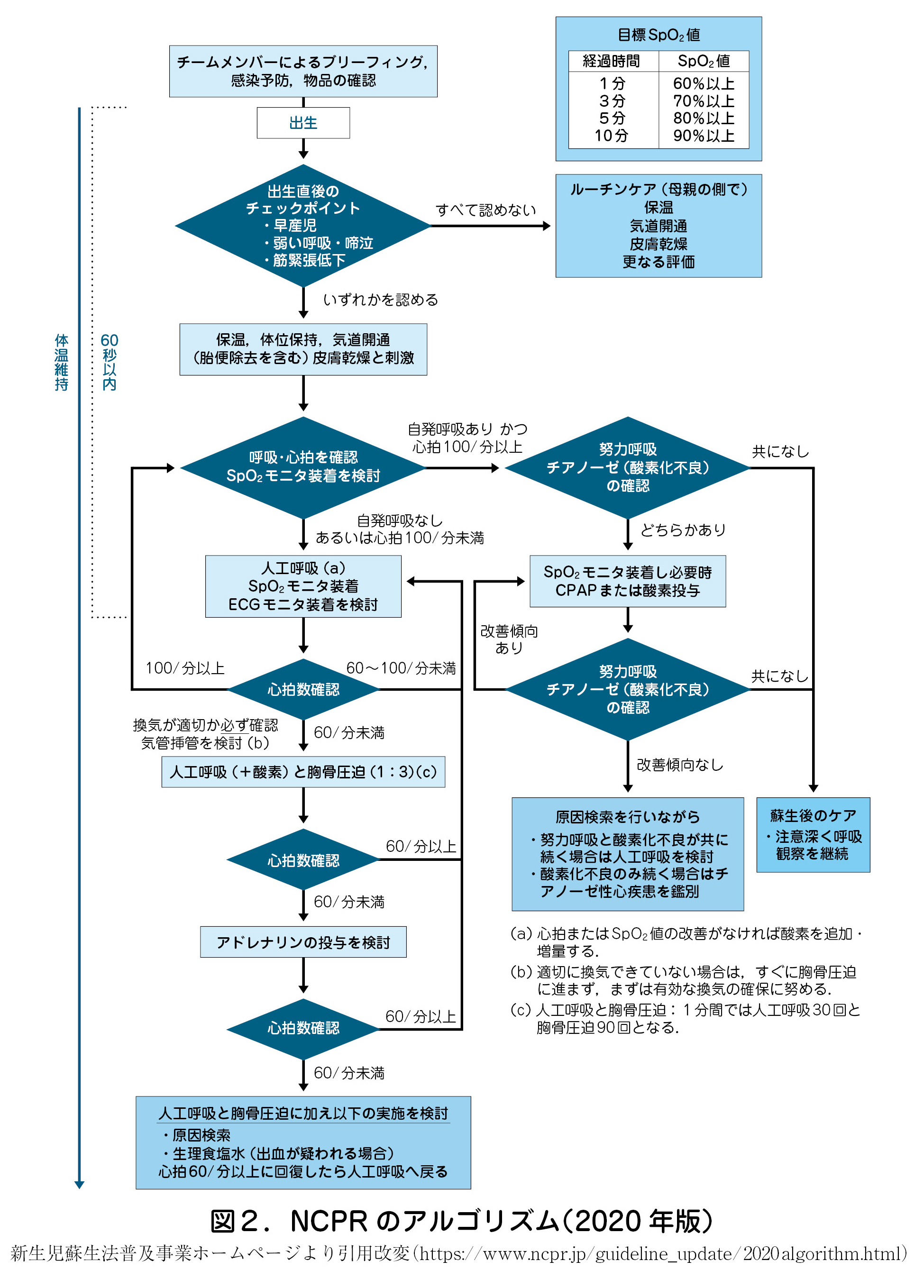 図２．NCPR のアルゴリズム（2020 年版）新生児蘇生法普及事業ホームページより引用改変（https://www.ncpr.jp/guideline_update/2020algorithm.html）