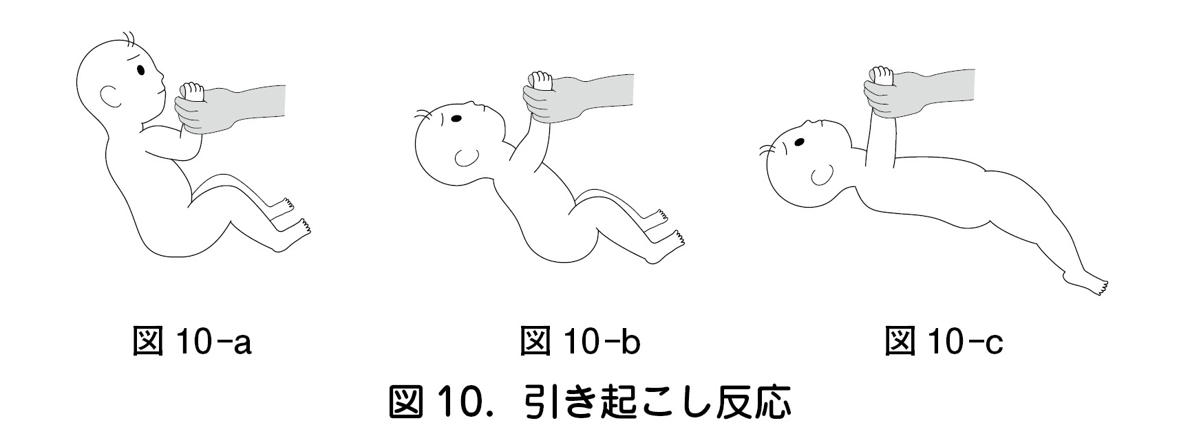 図 10．引き起こし反応