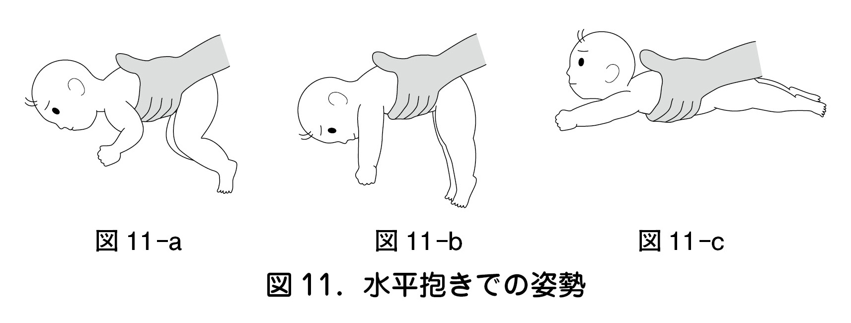 図 11．水平抱きでの姿勢