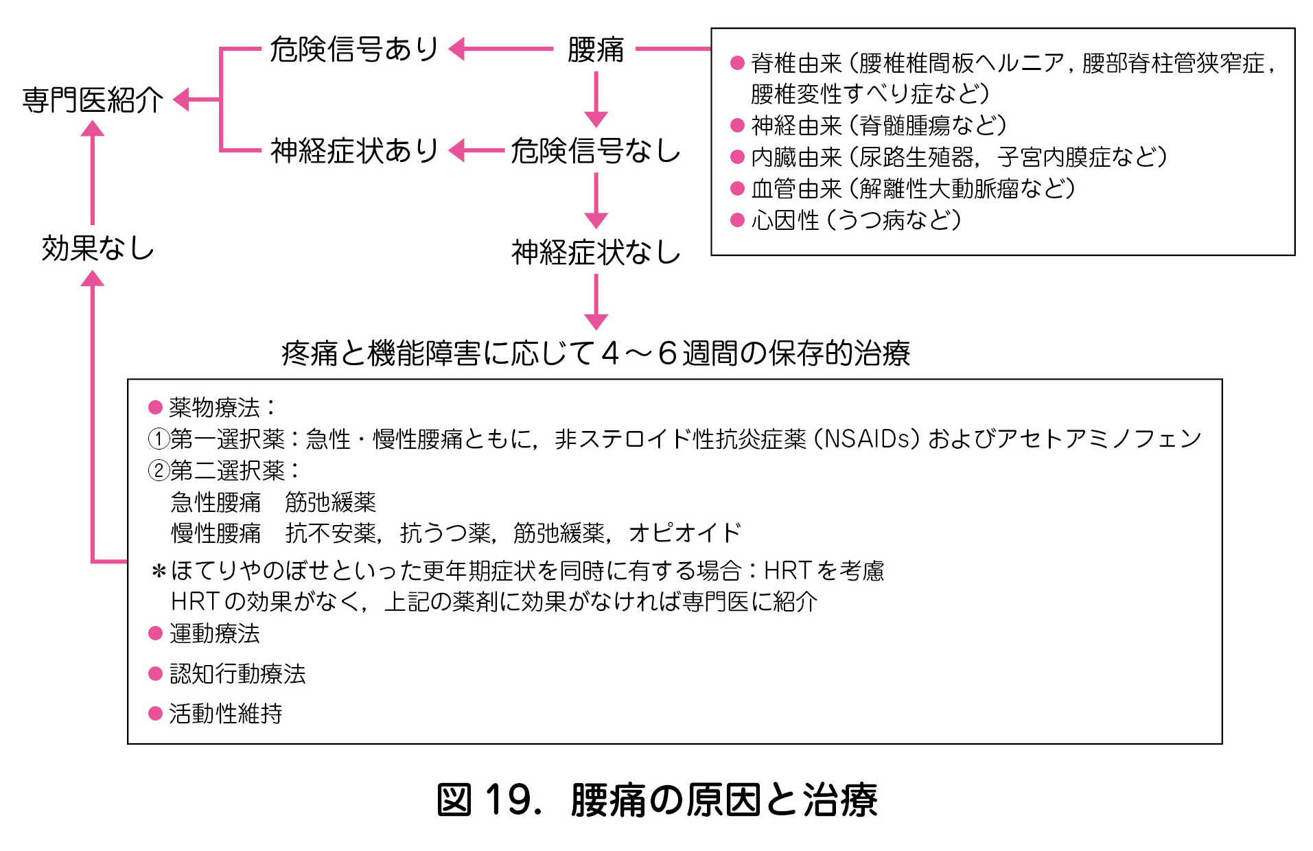 図 19．腰痛の原因と治療
