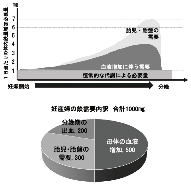 図１　妊産婦における鉄需要の内訳