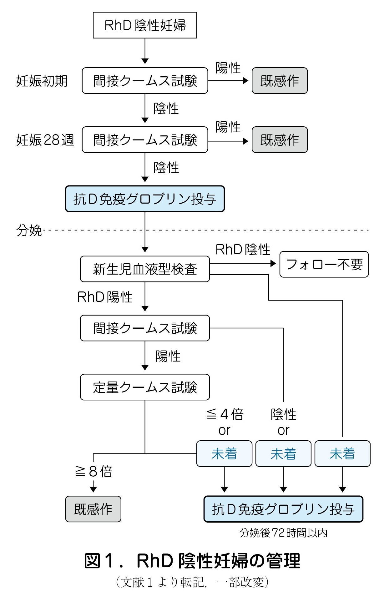 RhD 陰性妊婦の管理