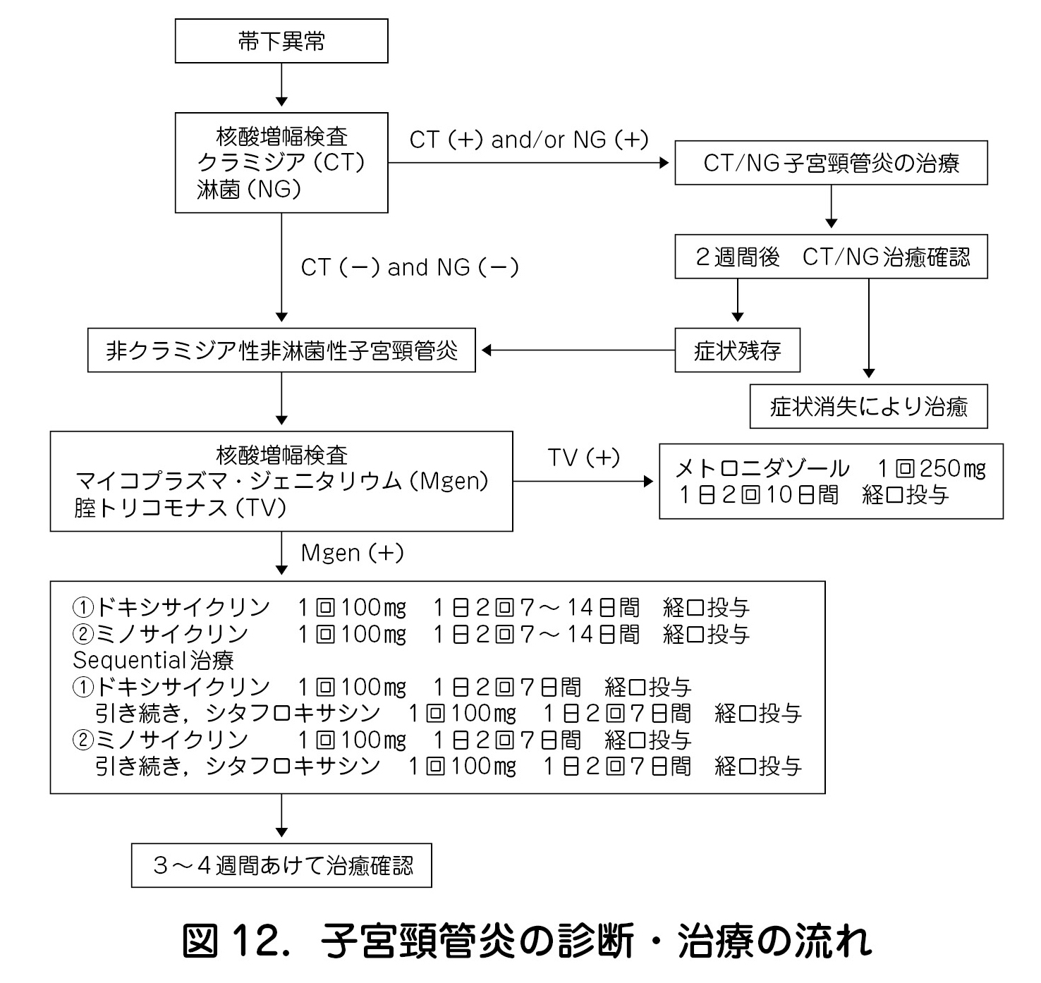 子宮頸管炎の診断・治療の流れ
