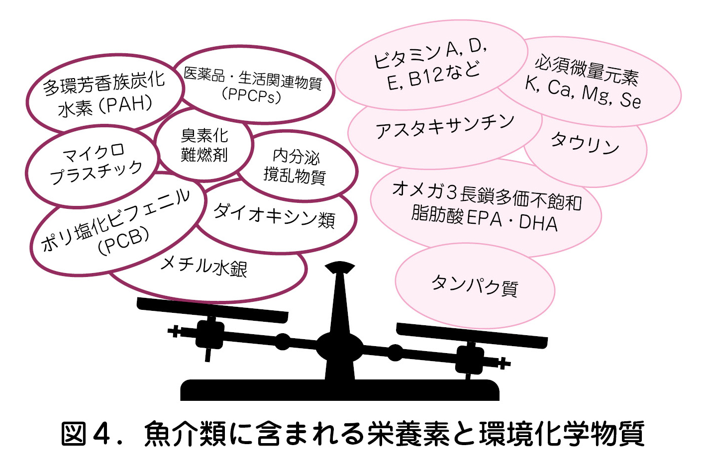 魚介類に含まれる栄養素と環境化学物質