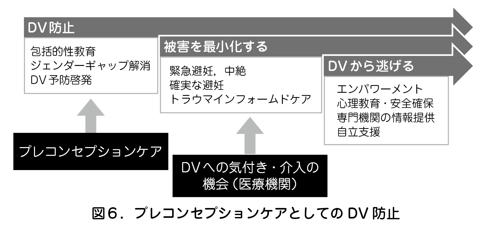 プレコンセプションケアとしての DV 防止