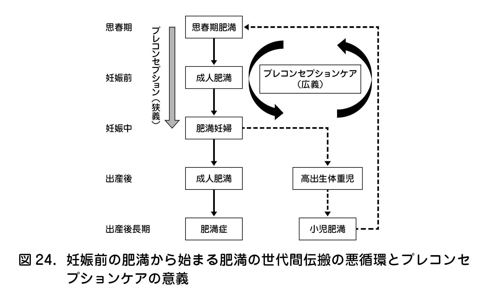 妊娠前の肥満から始まる肥満の世代間伝搬の悪循環とプレコンセプションケアの意義 
